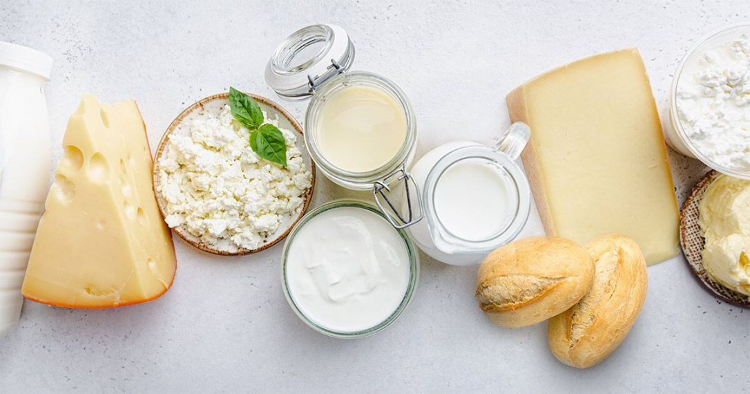 5 Mushrooms to Balance the Immune System The Good Inside at