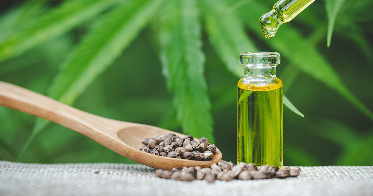 5 Mushrooms to Balance the Immune System The Good Inside at